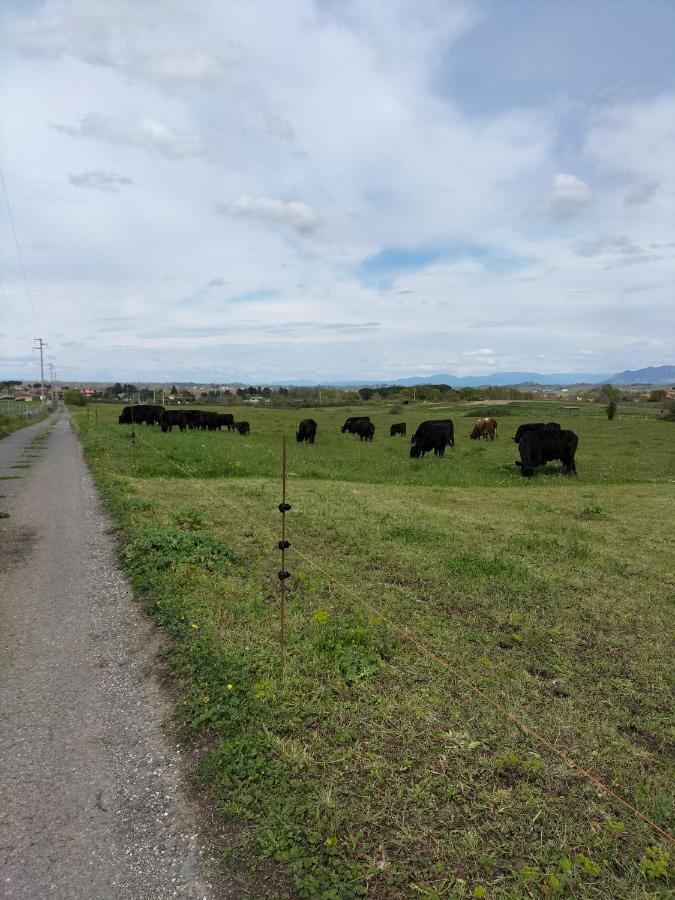 Rod Ranch Livestock - Appartamento Con Camino E Vista Piscina Campagnano Di Roma Zewnętrze zdjęcie