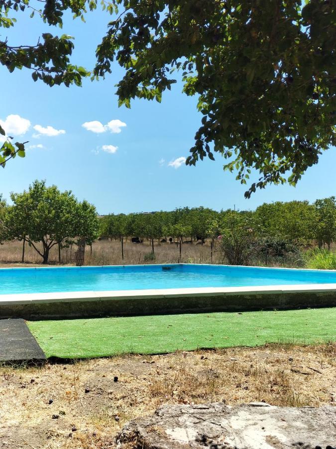 Rod Ranch Livestock - Appartamento Con Camino E Vista Piscina Campagnano Di Roma Zewnętrze zdjęcie