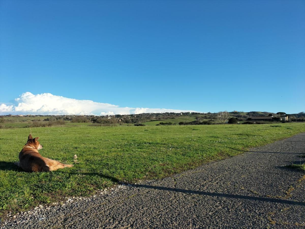 Rod Ranch Livestock - Appartamento Con Camino E Vista Piscina Campagnano Di Roma Zewnętrze zdjęcie